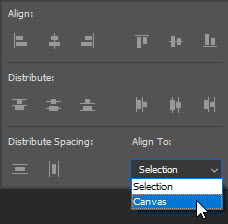 align to canvas.jpg